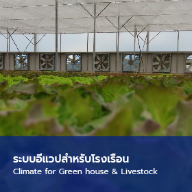 ระบบอีแวปสำหรับโรงเรือน Climate for Green house & Livestock