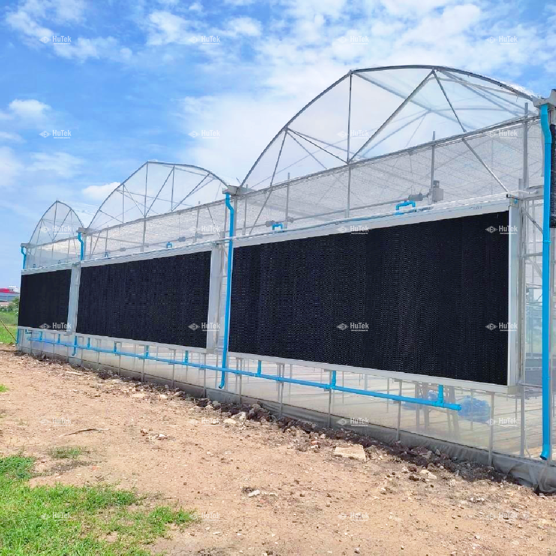อีแว้ประบบปิด Evap farmคูลลิ่งแพด cooling padCeLPad พัดลมอุตสาหกรรมพัดลมฟาร์ม กัญชา ฟาร์มกัญชาชุดรางอีแว้ป
